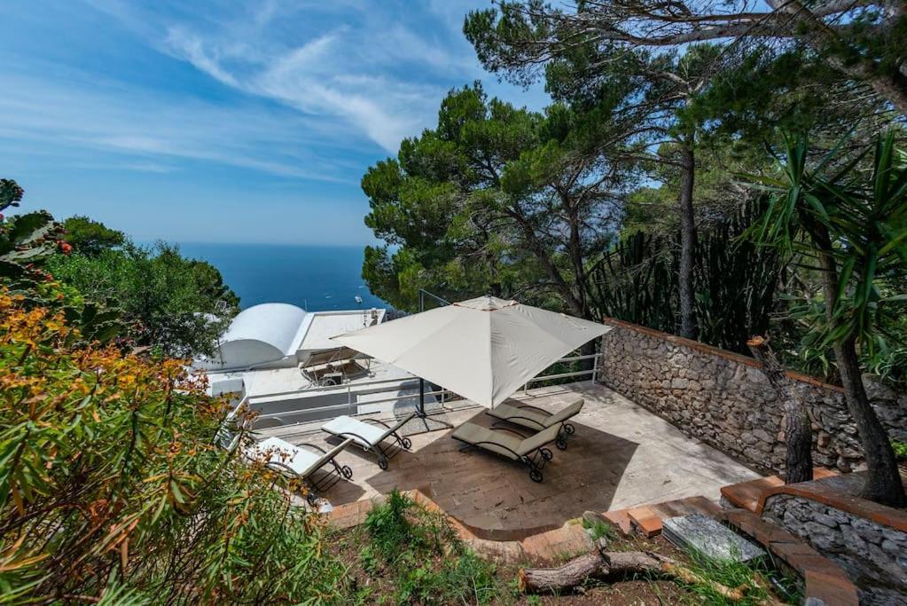 House Rosa Blu