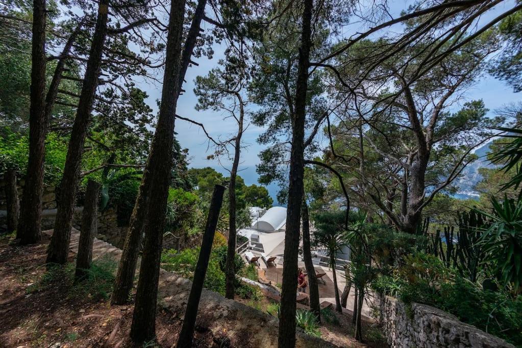 House Rosa Blu * Capri