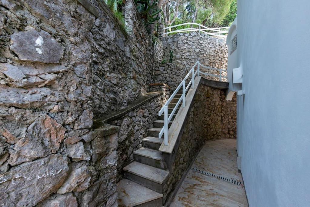 House Rosa Blu